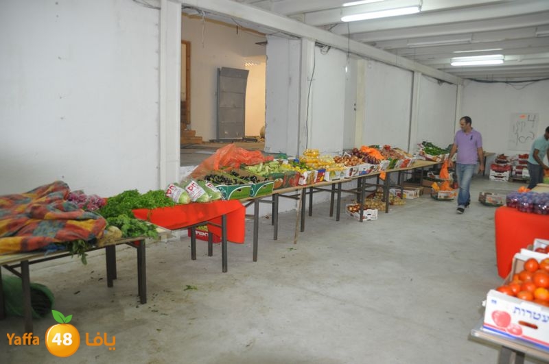 setona2y 830 (3).JPG